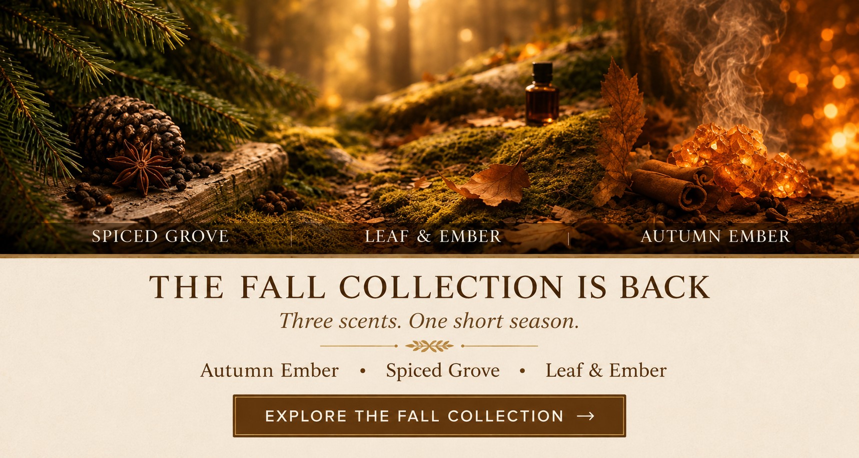 Dancing Dingo Fall Collection featuring Spiced Grove, Leaf & Ember, and Autumn Ember